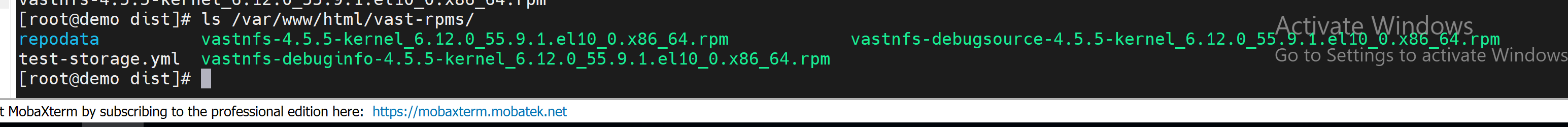 VAST RPMs in dist directory