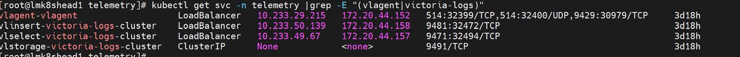 VLAgent Service
