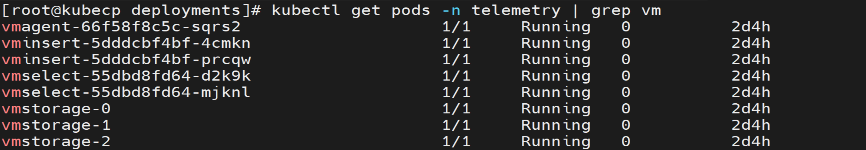 ../../../_images/victoria_metrics_pod_cluster_mode.png